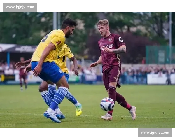 新西兰对阵爱尔兰巅峰对决解析两队实力与胜负走向比赛前瞻关键看点